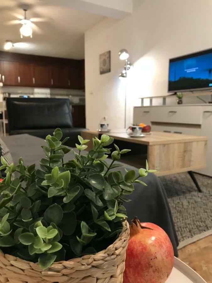 Apartamento Diskover Pintor Gisbert